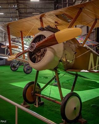 20240808-DSC_5152.jpg
