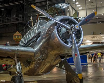 20240808-DSC_5280.jpg