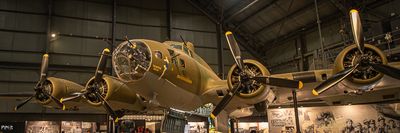 20240808-DSC_5320.jpg