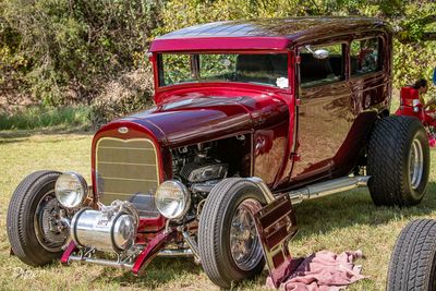 20240921-DSC_5575.jpg