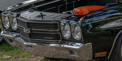 20240921-DSC_5635.jpg