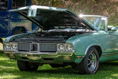 20240921-DSC_5754.jpg