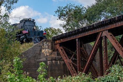 20241004-DSC_5845.jpg