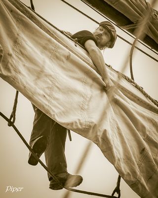 20241208-DSC_9410.jpg
