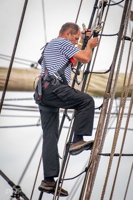 20241208-DSC_9442.jpg