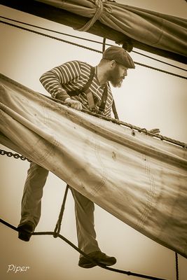 20241208-DSC_9452.jpg