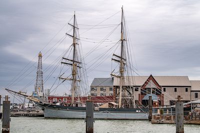 20241207-DSC_7664.jpg