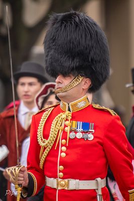 20241208-DSC_9126.jpg