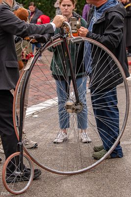 20241207-DSC_8350.jpg