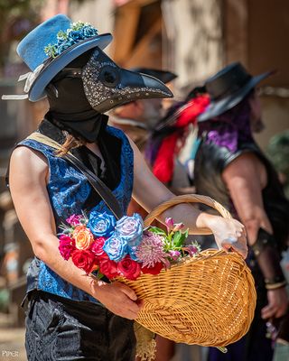 20250301-DSC_1462.jpg