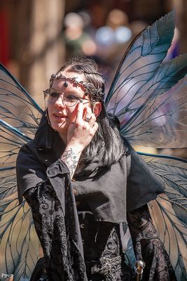 20250301-DSC_1524.jpg