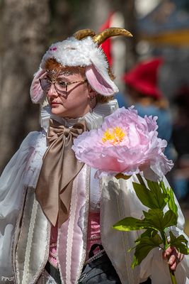 20250301-DSC_1609.jpg