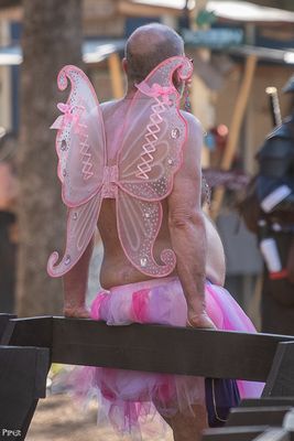 20250301-DSC_1799.jpg