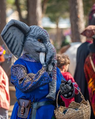 20250302-DSC_2073.jpg