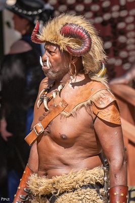 20250302-DSC_2325.jpg