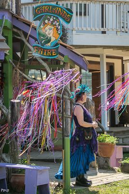 20250302-DSC_2729.jpg