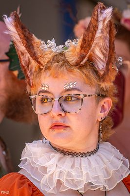 20250302-DSC_2770.jpg