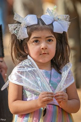 20250302-DSC_3166.jpg