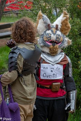 20250406-DSC_3484.jpg