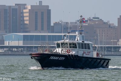 20250424-DSC_3784.jpg