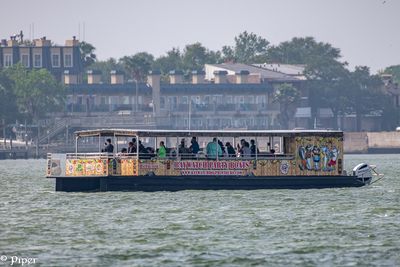 20250424-DSC_3790.jpg