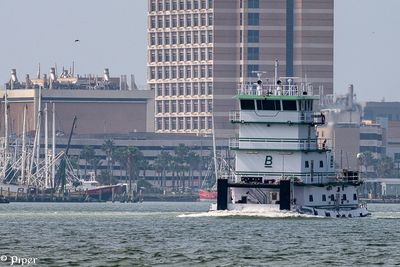 20250424-DSC_3793.jpg