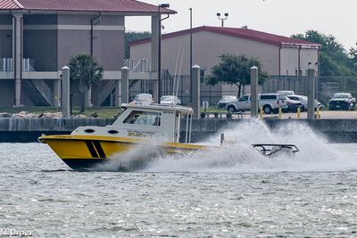 20250424-DSC_3800.jpg