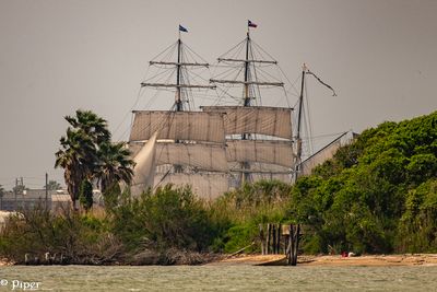 20250424-DSC_3807.jpg