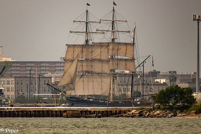 20250424-DSC_3818.jpg