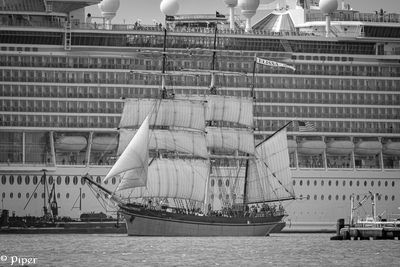 20250424-DSC_3883.jpg