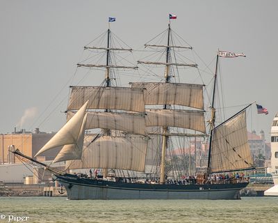 20250424-DSC_3914.jpg