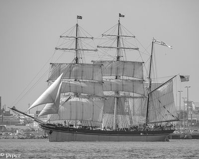 20250424-DSC_3925.jpg
