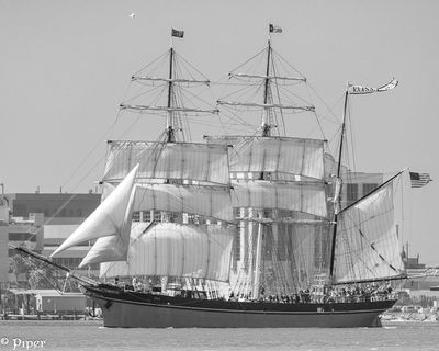 20250424-DSC_3941.jpg