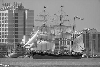 20250424-DSC_3949.jpg