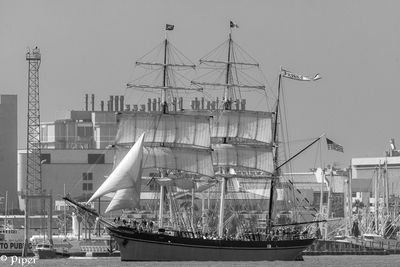 20250424-DSC_3985.jpg