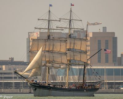 20250424-DSC_4024.jpg