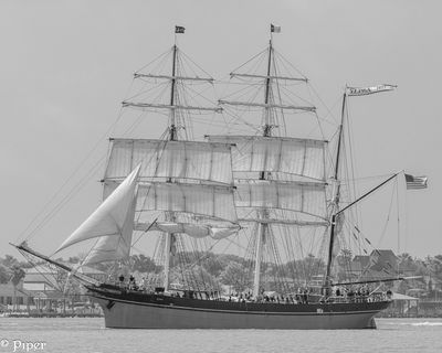 20250424-DSC_4093.jpg