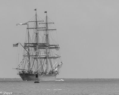 20250424-DSC_4203.jpg