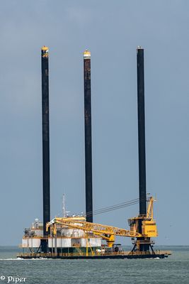 20250424-DSC_4232.jpg