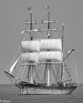 20250424-DSC_4299.jpg