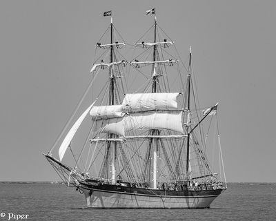 20250424-DSC_4303.jpg