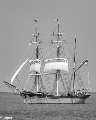 20250424-DSC_4308.jpg