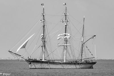 20250424-DSC_4324.jpg