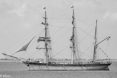 20250424-DSC_4352.jpg