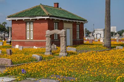 20250424-DSC_4412.jpg