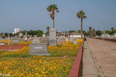 20250424-DSC_4417.jpg