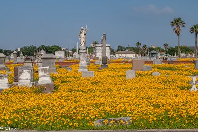 20250424-DSC_4424.jpg