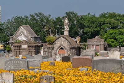 20250424-DSC_4435.jpg