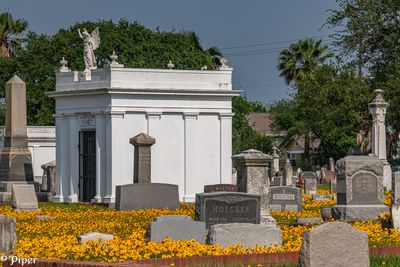 20250424-DSC_4454.jpg