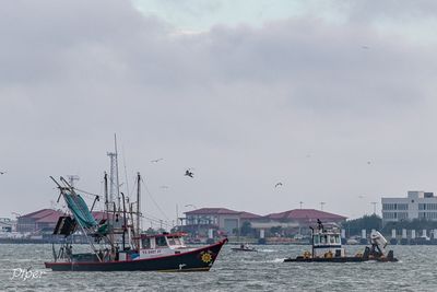 20241005-DSC_5890.jpg